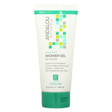 Andalou Naturals Shower Gel - Aloe Mint Cooling - 8.5 Fl Oz