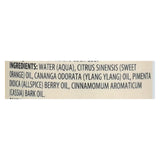 Aura Cacia - Aromatherapy Mist Cinnamon Ylang Ylang - 4 Fl Oz