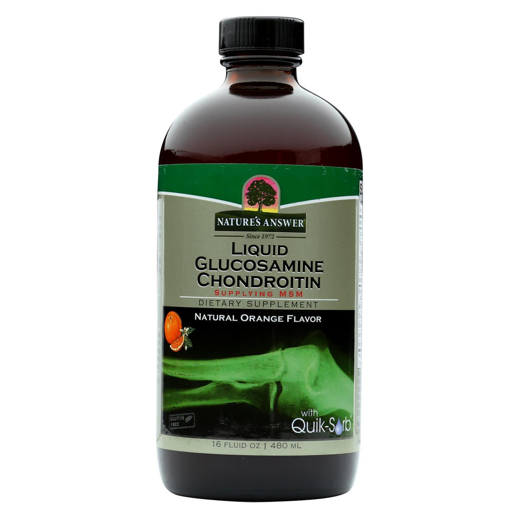 Nature's Answer - Liquid Glucosamine And Chondroitin With Msm Natural Orange - 16 Fl Oz