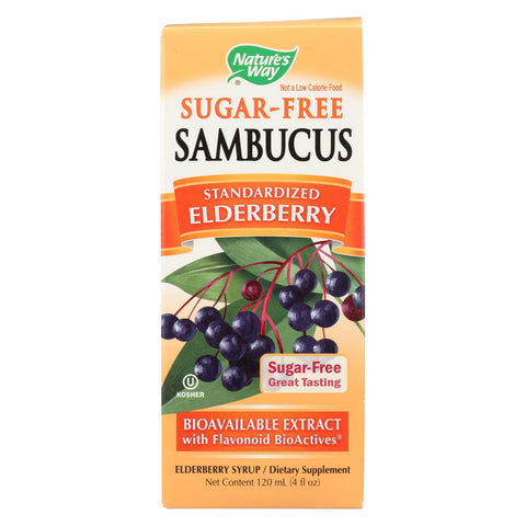 Nature's Way - Sambucus - Syrup - Sugar Free - 4 Oz