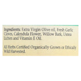 Herbs For Kids Willow And Garlic Ear Oil - 1 Fl Oz