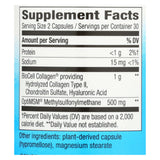 Nature's Way - Hydraplenish Plus Msm - 60 Capsules