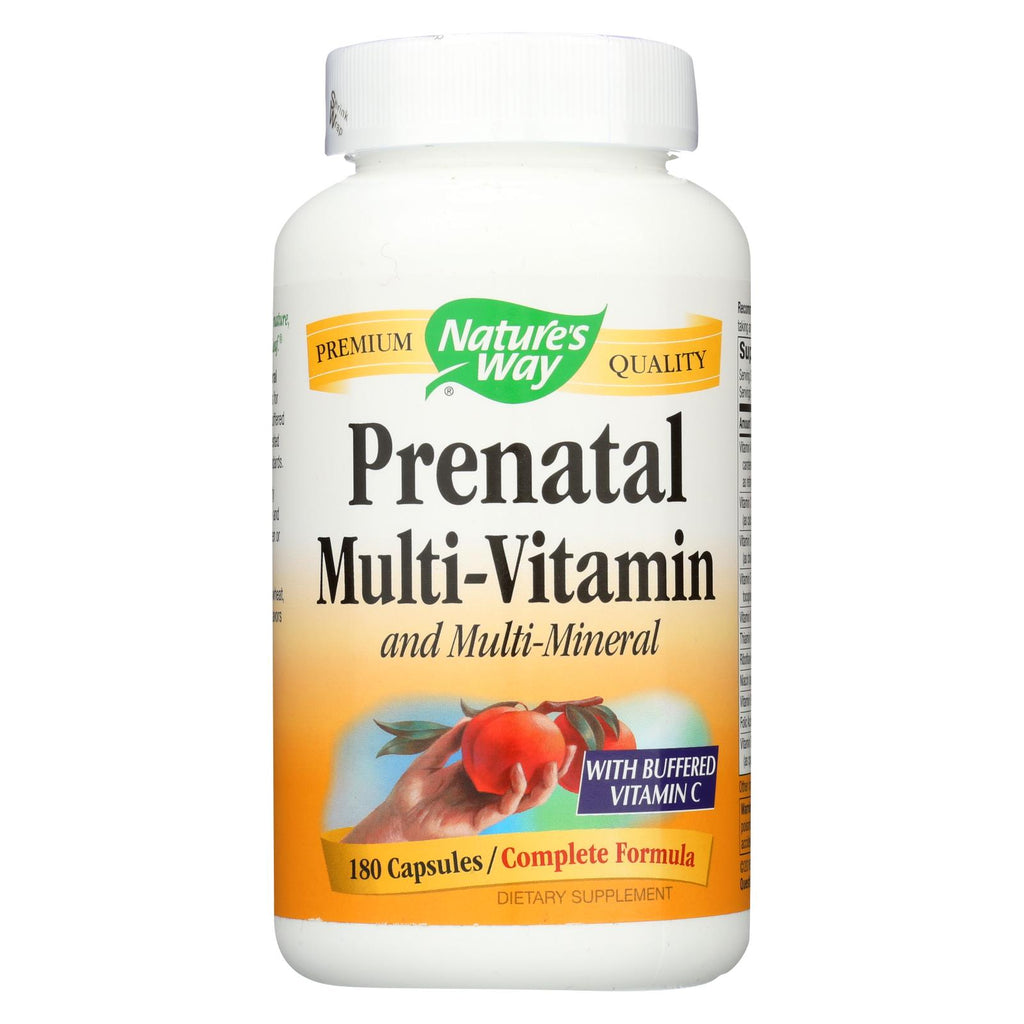 Nature's Way - Prenatal Multi - 180 Capsules