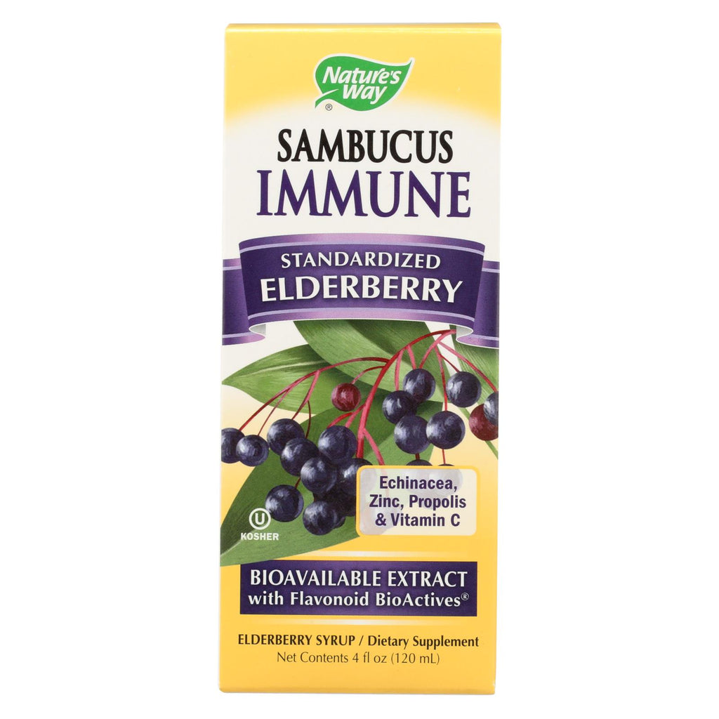 Nature's Way - Sambucus Immune Syrup - 4 Fl Oz