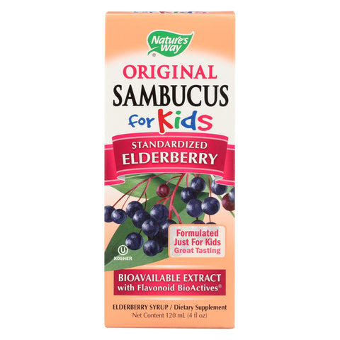 Nature's Way - Original Sambucus For Kids - Standardized Elderberry - 4 Fl Oz