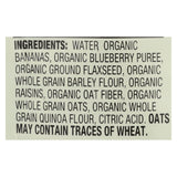 Earth's Best Organic Wholesome Breakfast Blueberry Banana Pouch - Case Of 12 - 4 Oz.