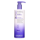 Giovanni 2chic Repairing Shampoo - Blackberry And Coconut Milk - 24 Fl Oz.