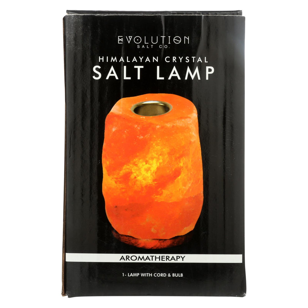 Evolution Salt Crystal Salt Lamp - Aromatherapy - 1 Count