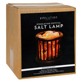 Evolution Salt Crystal Salt Lamp - Wooden Basket - 1 Count